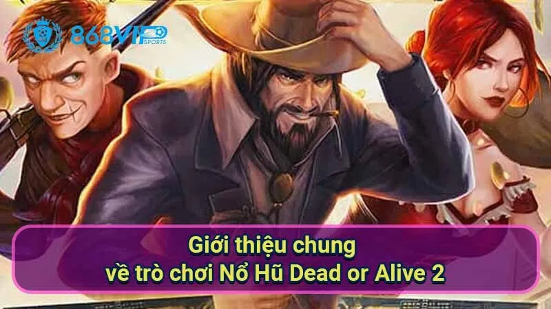 Nổ Hũ Dead Or Alive 2 - Trải Nghiệm Thú Vị Không Thể Bỏ Lỡ 5 gioi-thieu-chung-ve-tro-choi-no-hu-dead-or-alive-2