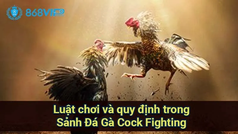 Sảnh Đá Gà Cock Fighting - Thế Giới Của Những Cuộc Chiến 6 luat-choi-va-quy-dinh-trong-sanh-da-ga-cock-fighting